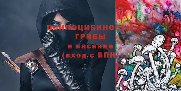 ешки Богородицк
