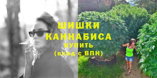 прущие крисы Бородино