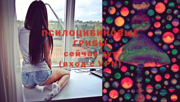 прущие крисы Бородино
