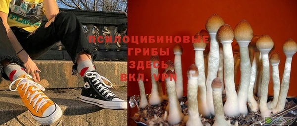 ешки Богородицк